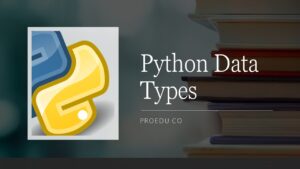 Read more about the article Data Types in Python